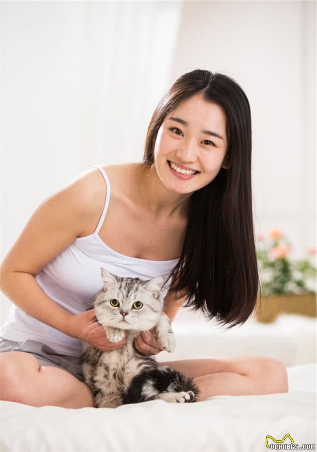 似女神一样的布偶猫，称得上是猫中贵族，浅谈布偶猫的品种与价格