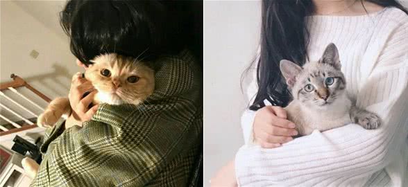 你的抱猫咪姿势正确吗？小心主子的喵喵拳！四步教你轻松抱猫