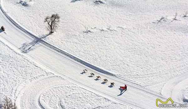 世界级雪橇狗大赛法国雪景美不胜收