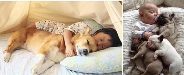 原来狗狗喜欢睡在你身边，只是因为这些