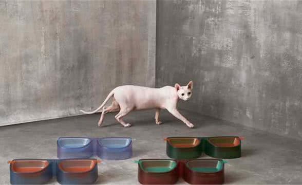 Maogoublue全新「HEICHAO」系列猫狗喂食碗
