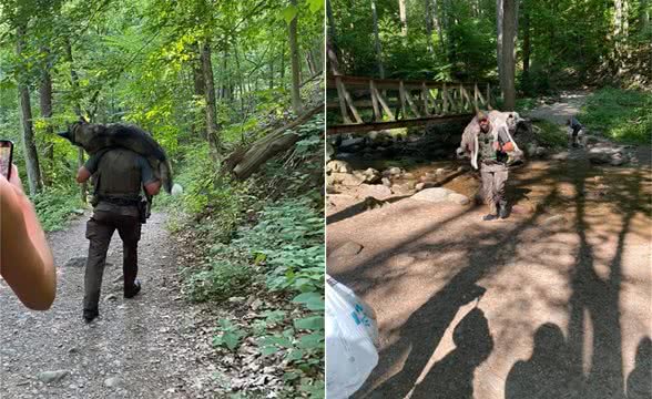 90多斤狗狗中暑走不动，超强巡山员扛着它走一小时下山