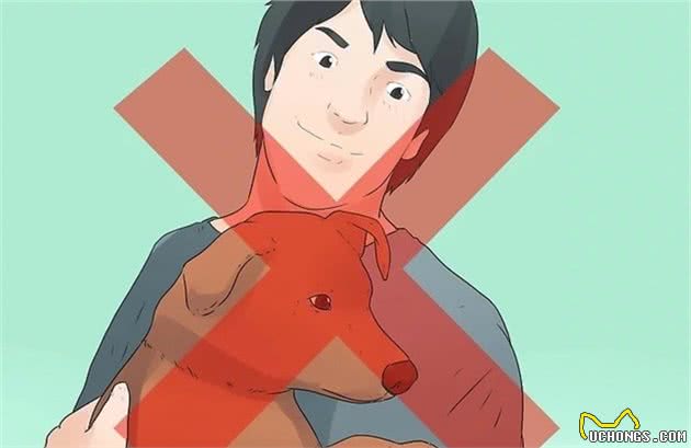 如何和狗狗做朋友
