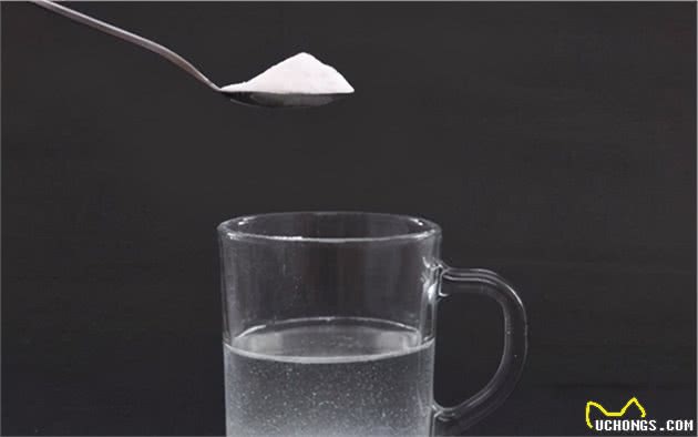 小狗突然便秘了怎么快速解决?处理便秘没有秘籍,注意三大方法