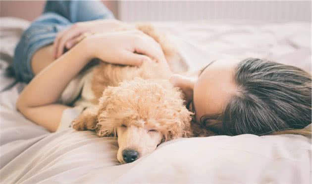 狗喜欢和主人“睡觉”,原来有这6大原因