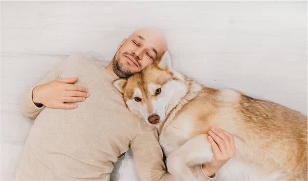 狗喜欢和主人“睡觉”,原来有这6大原因