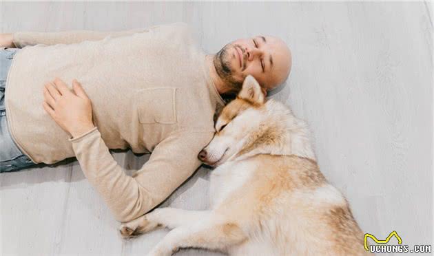 狗喜欢和主人“睡觉”,原来有这6大原因