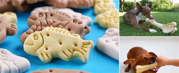 适合狗狗吃的6款“零食”，好吃还不贵