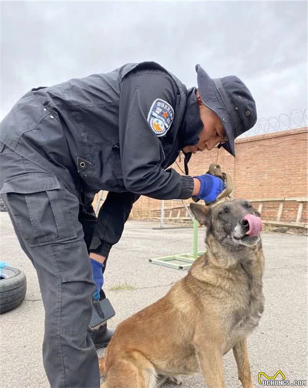 特警支队直属警犬中队组织开展警犬疾病预防工作