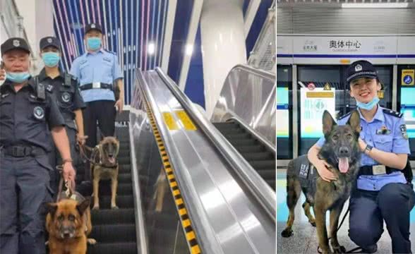 警犬来地铁“上班”啦~