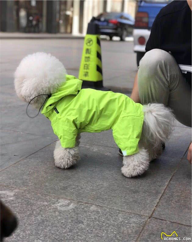 16种狗狗雨衣风格最后一张有点意思，ZOOLAND