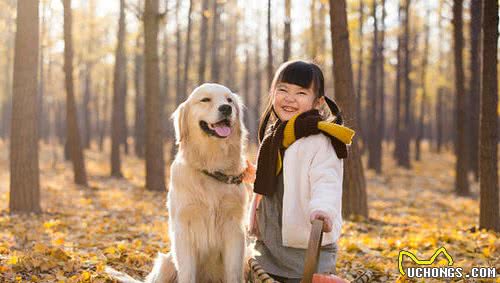 为啥经常有恶犬伤人，没听说过恶猫伤人？狗：我可是狼变来的