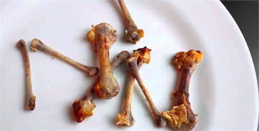 当心这7个“喂食坏习惯”，毁了狗狗的肠胃