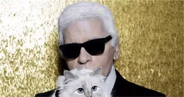 它或将成为全世界最富有的猫,坐拥千亿资产,和缅甸有很大的关联