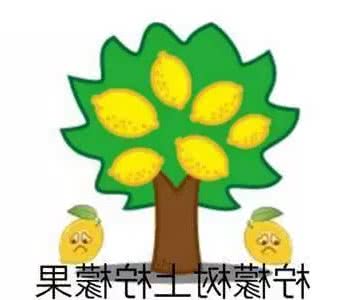 它或将成为全世界最富有的猫,坐拥千亿资产,和缅甸有很大的关联