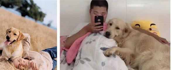 如果狗狗喜欢睡这几大地方，说明对主人很信任