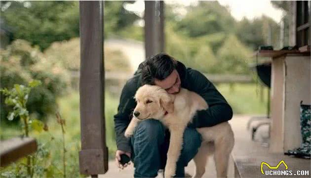 狗狗喜欢把爪子搭在人身上,其实是想告诉你这六件事