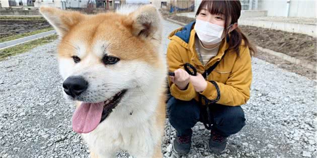 秋田自由行精选6大行程：抱秋田犬宝宝、地道美食DIY体验