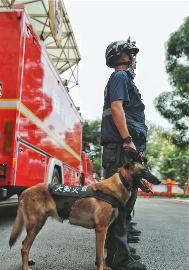 亮相！中国火调第一犬