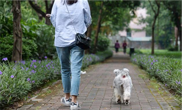 狗狗总爱跟着你，有5点特殊原因，你家是哪一种？