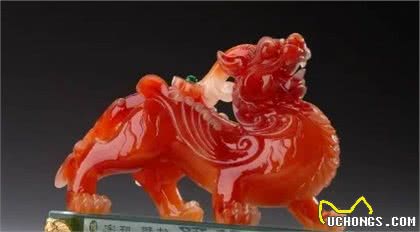 寺庙之猫与屋上之猫，相同的“招财猫”在中日两国不同的发展历史