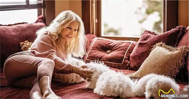 狗狗克隆:有趣的灵魂无法复制