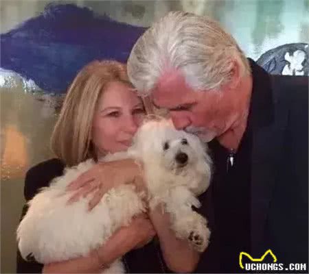 狗狗克隆:有趣的灵魂无法复制