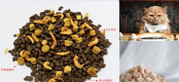 猫咪冻干到底怎么样？