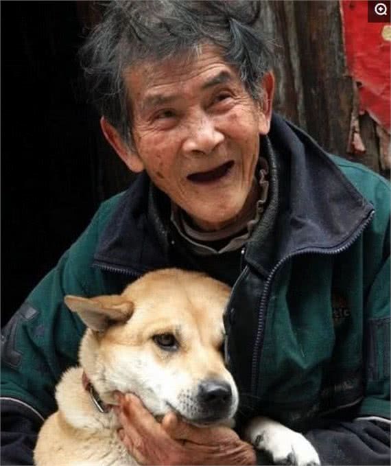 聊聊：什么原因让中华田园犬沦落至此？外国犬种真的比本土强吗？