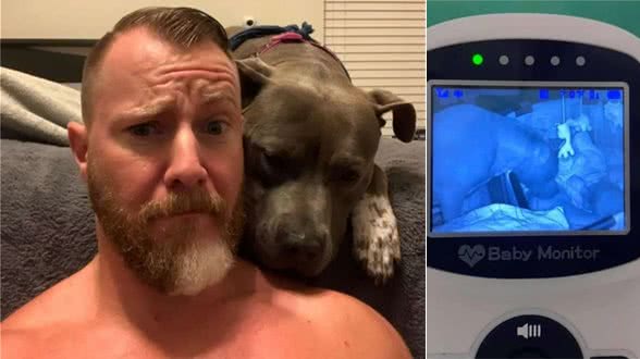 “凶猛”比特犬变宝宝贴身保姆，主人头疼：这是我的孩子啊