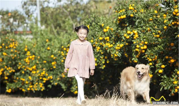 狗狗也吃土？教你4招解决狗狗异食癖