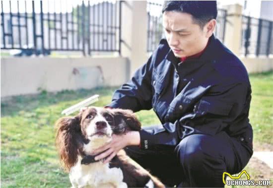 警犬也用跑步机练体能？10公里是起步！