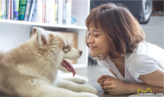 有些狗跟人精一样？因为会看主人脸色，这是天生的能力