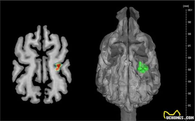 科学家用2个实验，找到狗鼻子冰凉的原因，与“热”而非散热有关