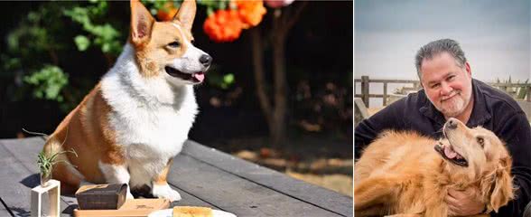 爱犬27岁仍未变老，铲屎官学会这五点妙招，让宠物陪伴自己更久
