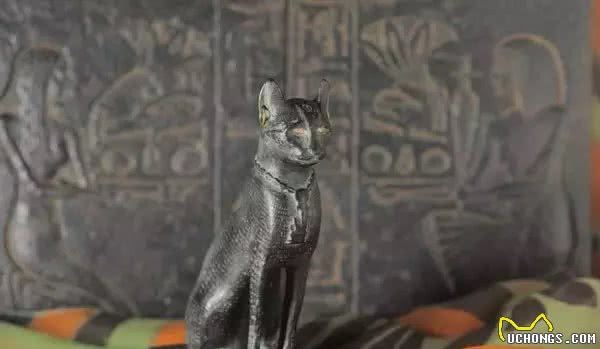 史上最传奇的女人，征服了世界，却被猫征服