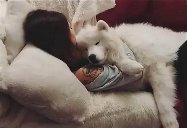 狗狗之所以挨着你睡觉，并不是为了取暖