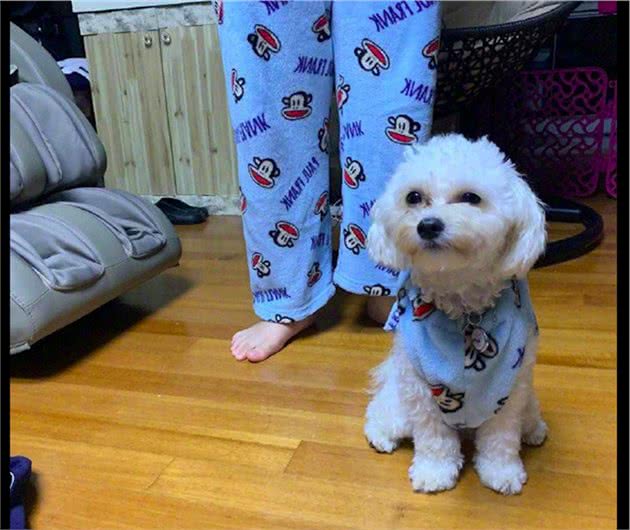 网友买了情侣睡衣，从老公裤腿上剪一块布给狗做衣服，真有一腿？