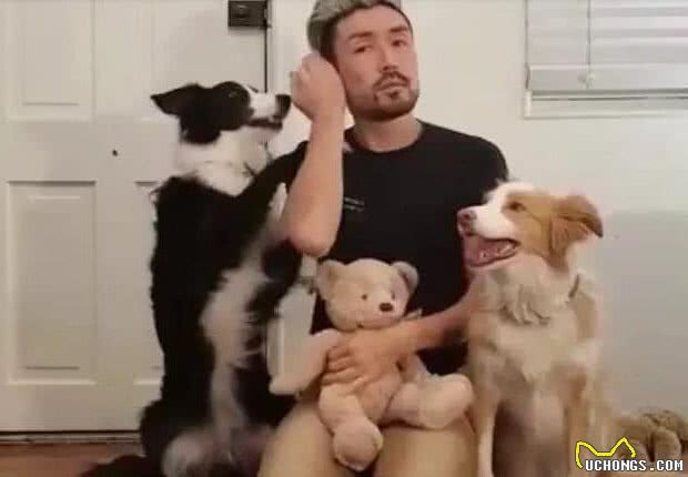 我认为:狗狗越早养越好,好处多于坏处