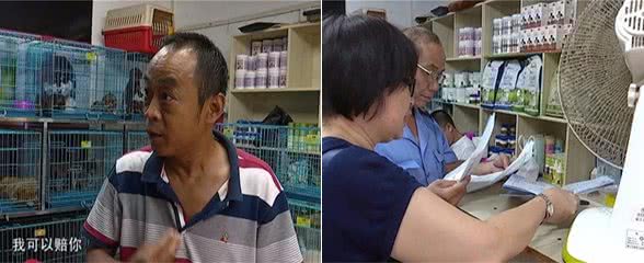花1600元购买的萨摩耶犬　居然是只“假狗”？