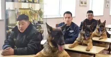 在各行各业工作的狗子,真是无敌暖萌又帅气呢