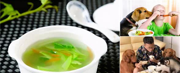 别光给狗子吃狗粮，这些食物也可以喂，营养高且价格低
