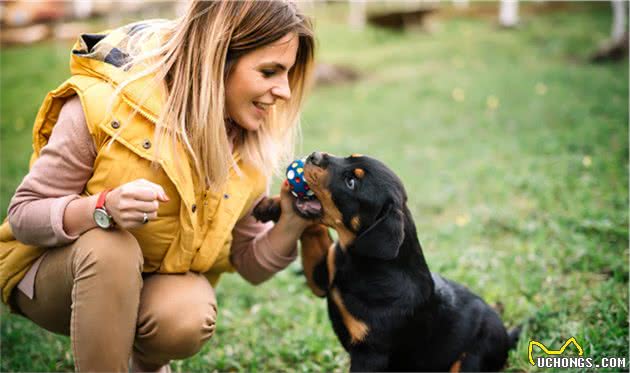 不养“罗威纳犬”的人，根本不清楚这5大好处！