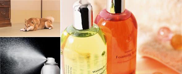 养宠经验:狗狗掉毛吃什么改善,食谱安排