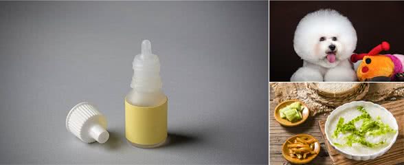 养宠经验分享：狗狗为什么有泪痕