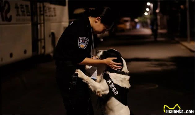 超级A的警犬！