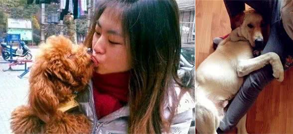 狗狗为什么喜欢舔你？背后有6个原因，抱抱它吧