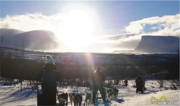 如果只能分享一个最有意思的旅行：我选在阿比斯库荒野上狗拉雪橇