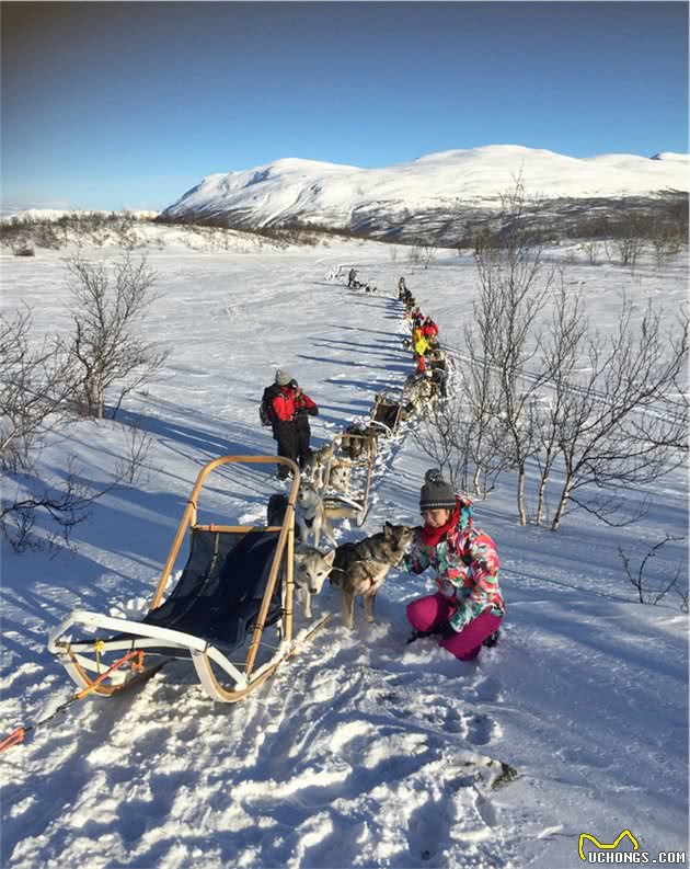 如果只能分享一个最有意思的旅行：我选在阿比斯库荒野上狗拉雪橇