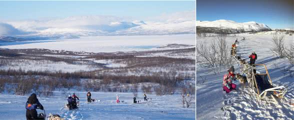 如果只能分享一个最有意思的旅行：我选在阿比斯库荒野上狗拉雪橇